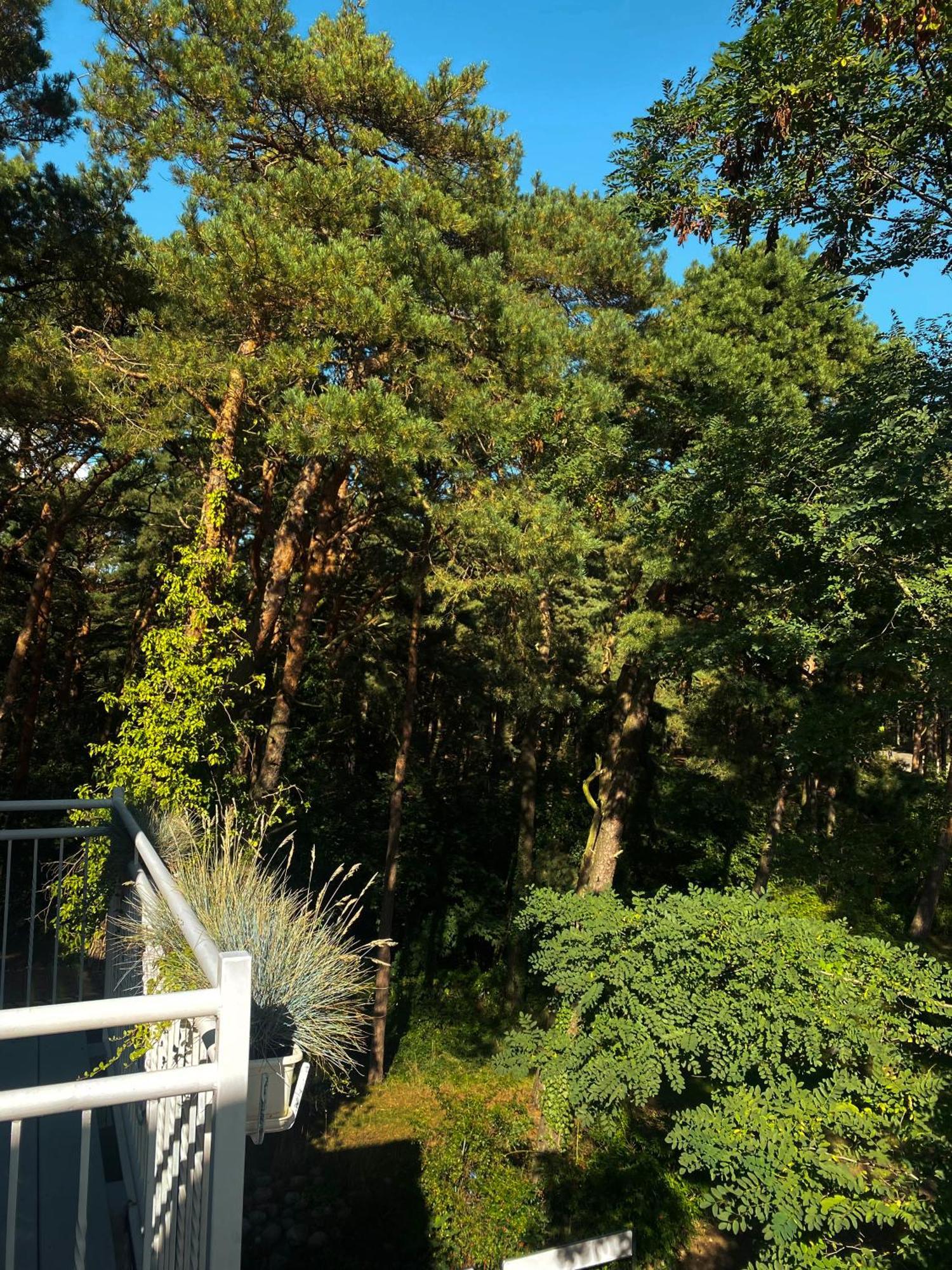 Orbisa Pokoje I Apartamenty Леба Екстериор снимка